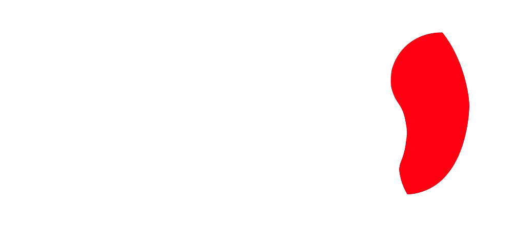 Nesbo-logo